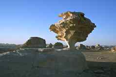 蘑菇形状的岩石埃及白色沙漠