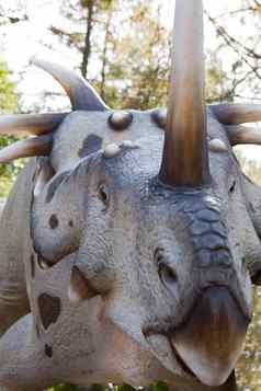 爬行动物恐龙styracosaurus阿尔伯滕斯角龙骨