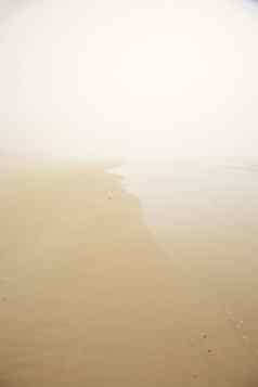 多雾的海滩
