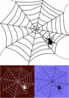 蜘蛛