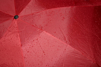 湿伞