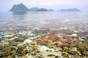 珊瑚礁岛屿