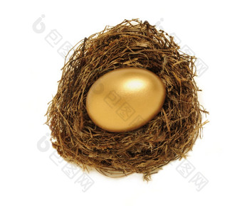 金巢蛋代表退休储蓄