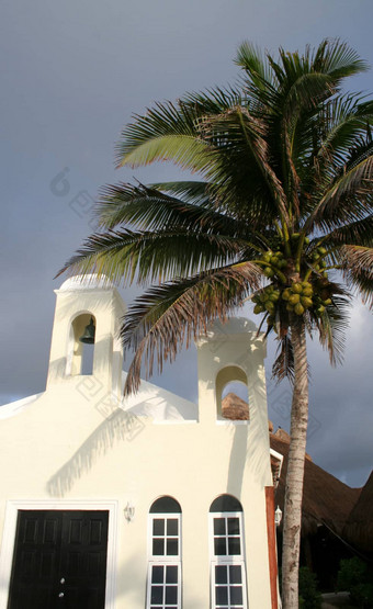 教堂棕榈树
