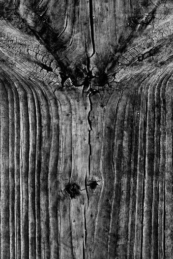 木木板木木板