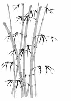 竹子茎