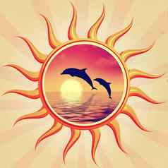 太阳海豚