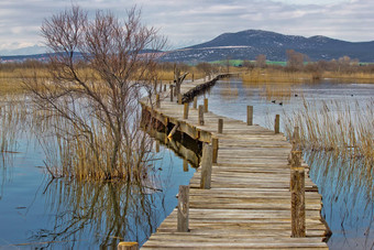 乌鸦湖自然公园木木板路