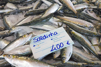 新鲜的沙丁鱼fishmarket