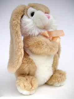 可爱的兔子兔子玩具