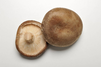 <strong>香菇</strong>蘑菇