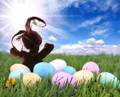 兔子兔子草复活节彩色的鸡蛋