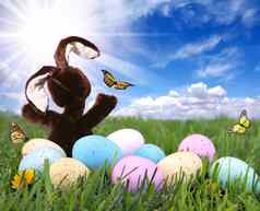 场复活节兔子兔子鸡蛋蝴蝶