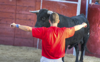 战斗<strong>牛图片</strong>西班牙黑色的牛