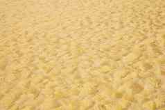 纹理黄色的沙子海滩