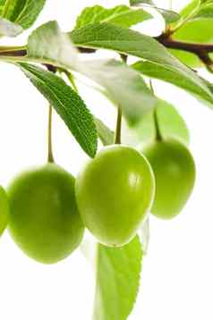 日益增长的绿色水果孤立的白色
