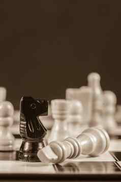 下降白色国际象棋一块说谎黑色的骑士乌贼语气