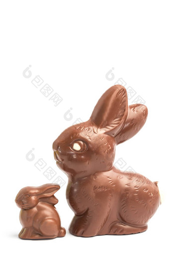 大小巧克力兔子兔子