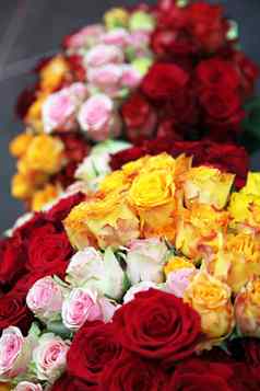 花束玫瑰红色的黄色的粉红色的玫瑰