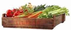 箱健康的蔬菜