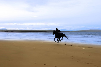 马骑手飞驰的海岸