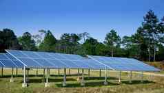 太阳能细胞森林可持续发展的概念