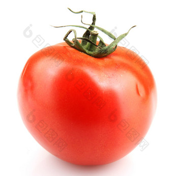 番茄孤立的白色
