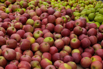 苹果梨当地的农民的市场