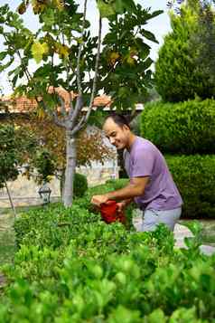 男人。修剪灌木工具花园