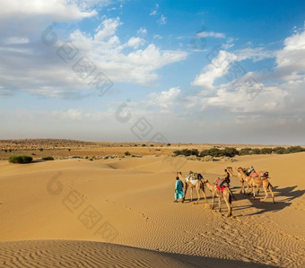 骆驼骆驼司机骆驼沙丘塔尔只要把它归结