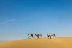 骆驼骆驼司机骆驼沙丘塔尔的