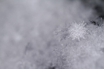 美白色雪花晶体