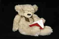 泰迪熊阅读
