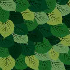 绿色叶子地毯
