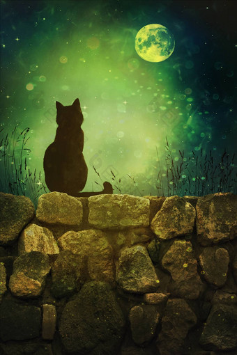黑色<strong>的猫</strong>岩石墙万圣节晚上