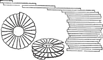 硅藻古董刻插图图片