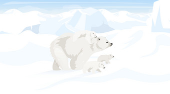 北波兰平向量插图南极景观极地熊家庭雪沙漠全景白色土地极地动物野生环境北极生物卡通壁纸图片