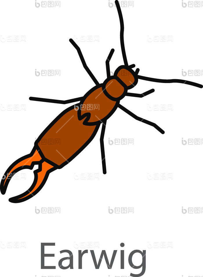 蠼螋颜色图标png下载-包图网