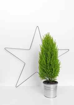 圣诞节明星绿色树