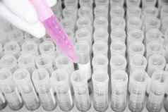 实验室工人添加粉红色的液体容器实验室