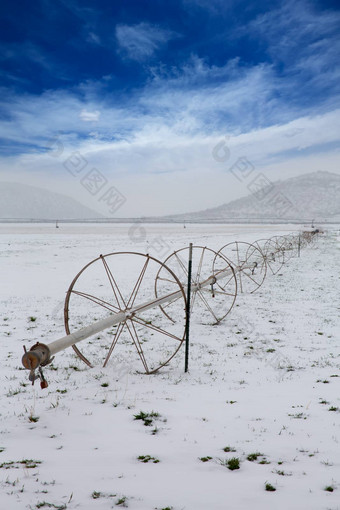 <strong>麦片字段</strong>灌溉轮子雪内华达