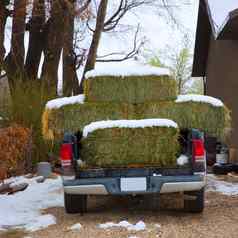 雪稻草包卡车内华达美国