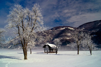 冬天景观