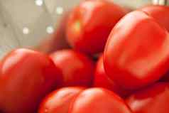 新鲜的充满活力的罗马西红柿