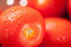 新鲜的充满活力的罗马西红柿滤器水滴