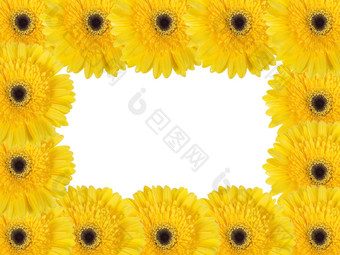 摘要框架黄色的花