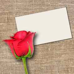 红色的玫瑰张留言卡