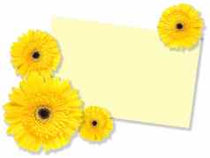 黄色的花张留言卡