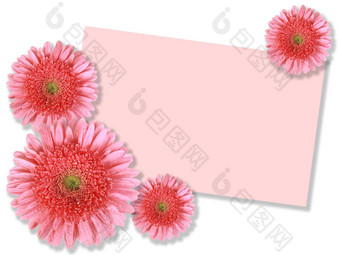 集团粉红色的花张留言卡