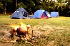 椰子篝火热带营地